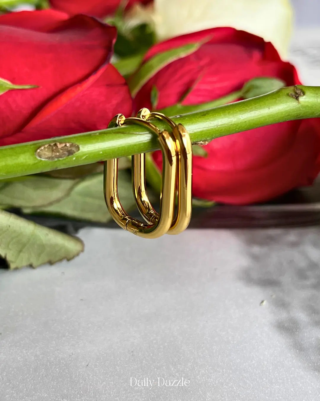 Aria Hoops